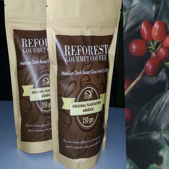 Tiger Standard Carbon Credit