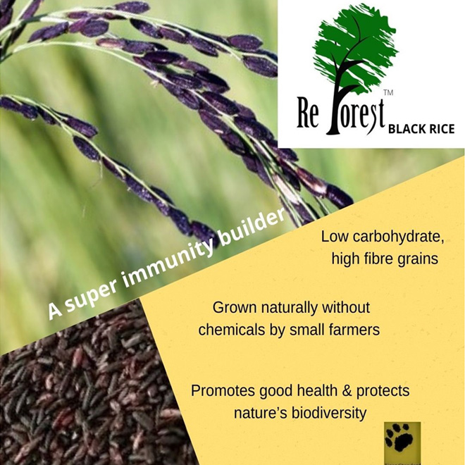 Tiger Standard Carbon Credit