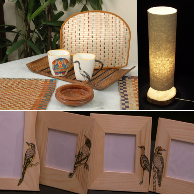 Tiger Standard Carbon Credit